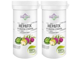 HEPAFIX SYLIMARYNA I CYNARYNA 60 KAPSUŁEK (560 mg) - SOUL FARM